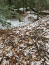 A GREEN, WHITE AND ORANGE TRAIL DELIGHTS HIKERS ALONG A SNOWY TRAIL IN A PUBLIC PARK