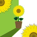Green-white plant background flower sunflower potted. Background, banner, label, cover. Vector image
