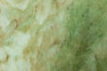 Green and white translucent gemstone surface. Jade green texture