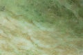 Green and white translucent gemstone surface. Jade green texture