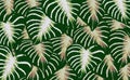 Green and white tropical leaves relax spring nature background