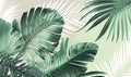 a green and white tropical wallpaper with palm leaves on it Royalty Free Stock Photo