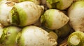 Green and white turnips Royalty Free Stock Photo