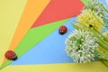 Green, white and yellow flower on orange, red, blue and green background give romantic look concept with two ladybird Royalty Free Stock Photo