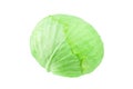Green whole head of cabbage on white background isolated close up, round ripe white cabbage, one Brussels sprouts macro Royalty Free Stock Photo