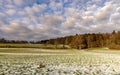 A field with white snow and a bald dense forest under a cloudy sky Royalty Free Stock Photo