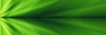 Green widescreen abstract templates graphic