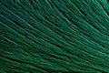 Green wild textured nature pattern background and backdrop