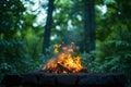 Green wilderness setting Campfire crackles amid lush foliage