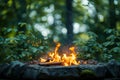 Green wilderness setting Campfire crackles amid lush foliage