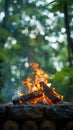 Green wilderness setting Campfire crackles amid lush foliage