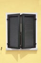 Green window shutters