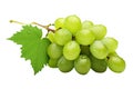 Green wine grapes with very fine water droplets and vine leaves isolated on transparent background