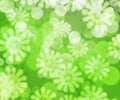 Green Winter Bokeh Background