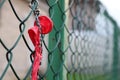 Exploded balloon hanging on green wire mesh