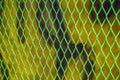 Green wire mesh