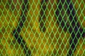 Green wire mesh
