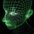 Green Wireframe Human Head Mode Royalty Free Stock Photo