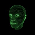 Green Wireframe Rendering of a Man`s Head