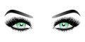 Green woman eyes with long false lashes with eyebrows.