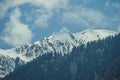 Green wood on a background himalayan snow mountains and white clouds