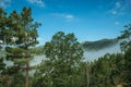 Wooded valley with mist coming up