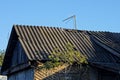 Green wooden attic of a old rural house Royalty Free Stock Photo