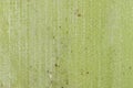 Green wooden background pattern texture