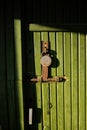 Green wooden door with key lock Royalty Free Stock Photo