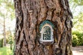 A green wooden door in tree trunk in summer woods A cabin in a forest. Woodland. Royalty Free Stock Photo