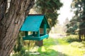Green wooden feeder for birds