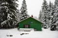 Green wooden mountain hut ant the coniferous forest