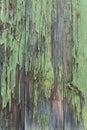 green wooden wall texture background vertical Royalty Free Stock Photo