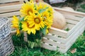 Green wooden yellow flowers photo zone with rustic decorations Royalty Free Stock Photo