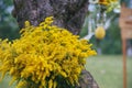 Green wooden yellow flowers photo zone with rustic decorations Royalty Free Stock Photo