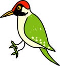 Green woodpecker