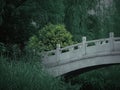 green woods and stone bridge Royalty Free Stock Photo