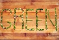 Eco Green word by greens Royalty Free Stock Photo
