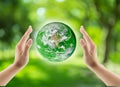 green world in the hand, Globe in the hand