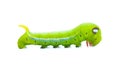 Green worm caterpillars animals isolate on white Royalty Free Stock Photo