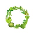 Green wreath of fresh vegetables. Vector illustration on white background.