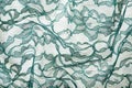 Green Wrinkled Lace on White Spandex Royalty Free Stock Photo