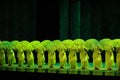 Green years-The second act of dance drama-Shawan events of the past