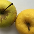 Green and yellow apple on a white background. Abstract macro shot.