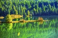 Green Yellow Autumn Reflection Colors Gold Lake Snoqualme Pass Washington Royalty Free Stock Photo