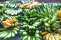 Green and yellow bananas on display for sale at Fugalei fresh pr