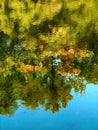 Green Yellow Blue Water Reflection Abstract Habikino Osaka Japan