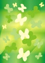 Green and yellow butterflies Royalty Free Stock Photo