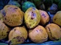 Green and yellow coconuts Royalty Free Stock Photo