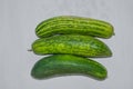 Green & Yellow Cocumbers Image. Indian Summer Season.